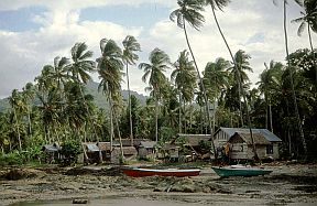Fischerdorf unter Palmen auf Pulau Laut