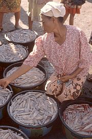 Tanjung Luar: Frau mit Cumi Cumi (Tintenfischen)