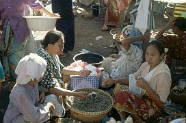 Tanjung Luar: Marktfrauen