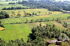 Aussicht vom Gunung Pengsong