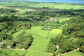 Aussicht vom Gunung Pengsong