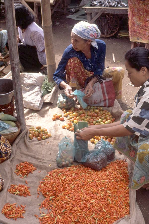 33 12 50 20 >> Lombok 29: Zentral-Lombok - Markt in Barabali 33 12 50 20 >> Lombok 29: Zentral-Lombok - Markt in Barabali
