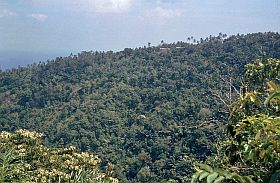 Schulgebude in Pananga
