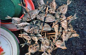 Tanjung Luar: Gegrillter Fisch