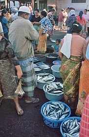 Tanjung Luar: Händler