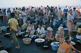Tanjung Luar: Hndlerinnen