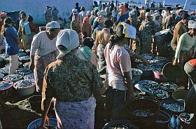 Tanjung Luar: Hndlerinnen