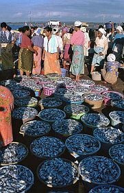 Tanjung Luar: Hndlerinnen