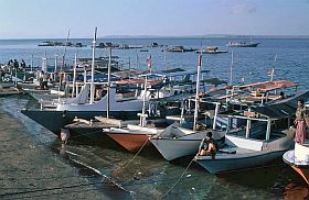 Tanjung Luar: Fischerboote