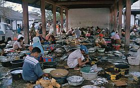 Tanjung Luar: Fischverarbeitung