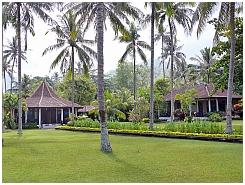 Mascot Hotel: Bungalows