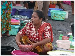 Tanjung Luar - Fischmarkt