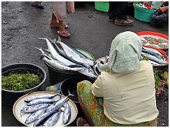 Tanjung Luar - Fischmarkt