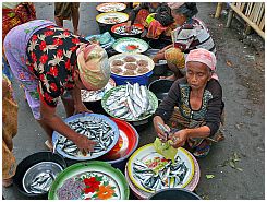 Tanjung Luar - Fischmarkt