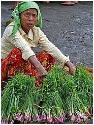 Tanjung Luar - Markt