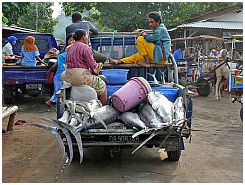 Tanjung Luar - Thunfischtransport