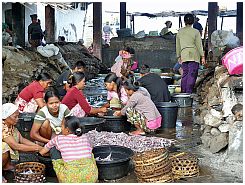 Tanjung Luar - Fischmarkt