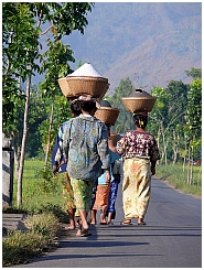 Frauen auf dem Weg zum Markt