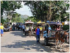 Markt in Gerung. Cidomo