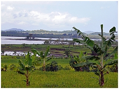 See bei Pengga