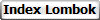 Index Lombok