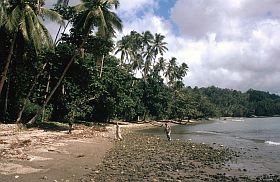 Strand von Morela