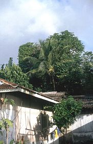 Negeri Lima: Fort Rotterdam