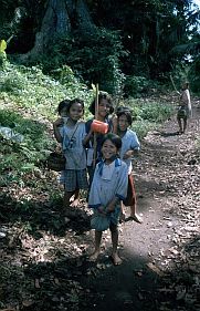 Insel Ai: Kinder mit Pflck-Gerten