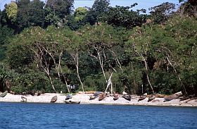 Boote am Strand der Insel Lontar/Banda Besar