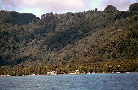 Die dicht bewaldete Insel Lontar/Banda Besar