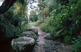 Baileo (ritueller Versammlungsort) in Soya Atas