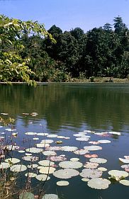 Sdkste Ternates: Danau Laguna