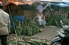 Ternate City: Markt, Bananenstand