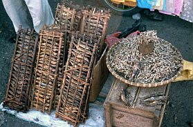 Ternate City: Markt - Trockenfisch