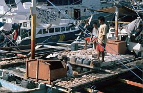 Ternate City: Fischerboote (Bagans) im Hafen