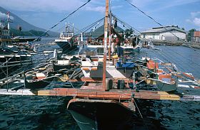 Ternate City: Fischerboote (Bagans) im Hafen