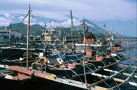 Ternate City: Fischerboote (Bagans) im Hafen