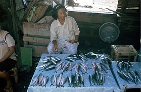 Tidore: Markt bei Dowora, Fischverkauf