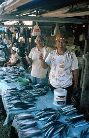 Tidore: Markt bei Dowora, Fischverkauf
