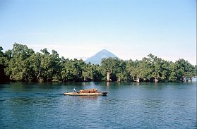 Sidangoli: Mangroveninsel, im Hintergrund Tidore