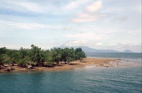 Sidangoli: Mangroveninsel, im Hintergrund Ternate