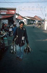 Tobelo: Mann mit Fischen