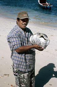 Insel Takalaya: Leo mit 'Mrdermuschel'