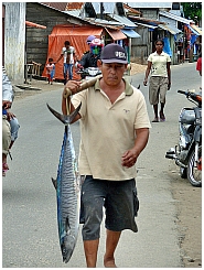 Dobo: Beim  Fischmarkt 