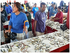 Dobo: Auf dem Fischmarkt 