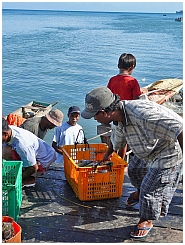 Dobo: Fischmarkt 