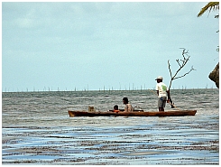 Insel Kola: Seetangfarmen bei Leting