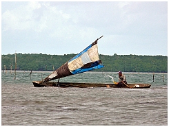 Insel Kola: Seetangfarmen bei Leting