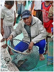 Kolamar: Mr. Benny mit Fisch