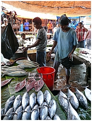 Auf dem Markt in Tual: Fisch